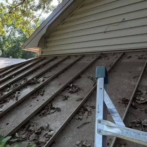 Leaves on a porch roof under a tree, before cleaning