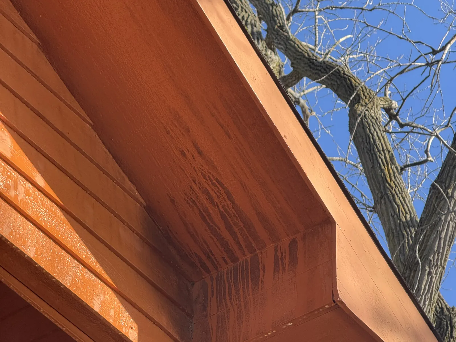 A cedar soffit